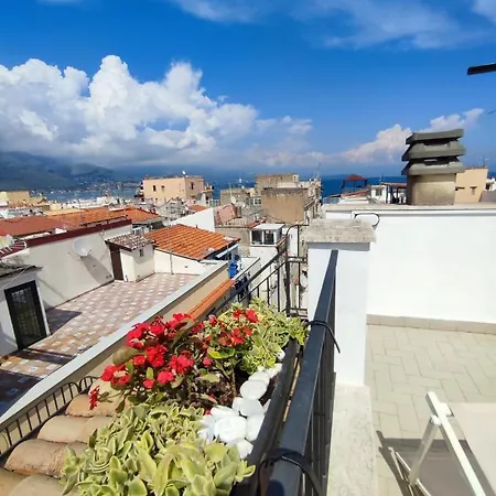 L'oliva Contesa - La Nera * Gaeta